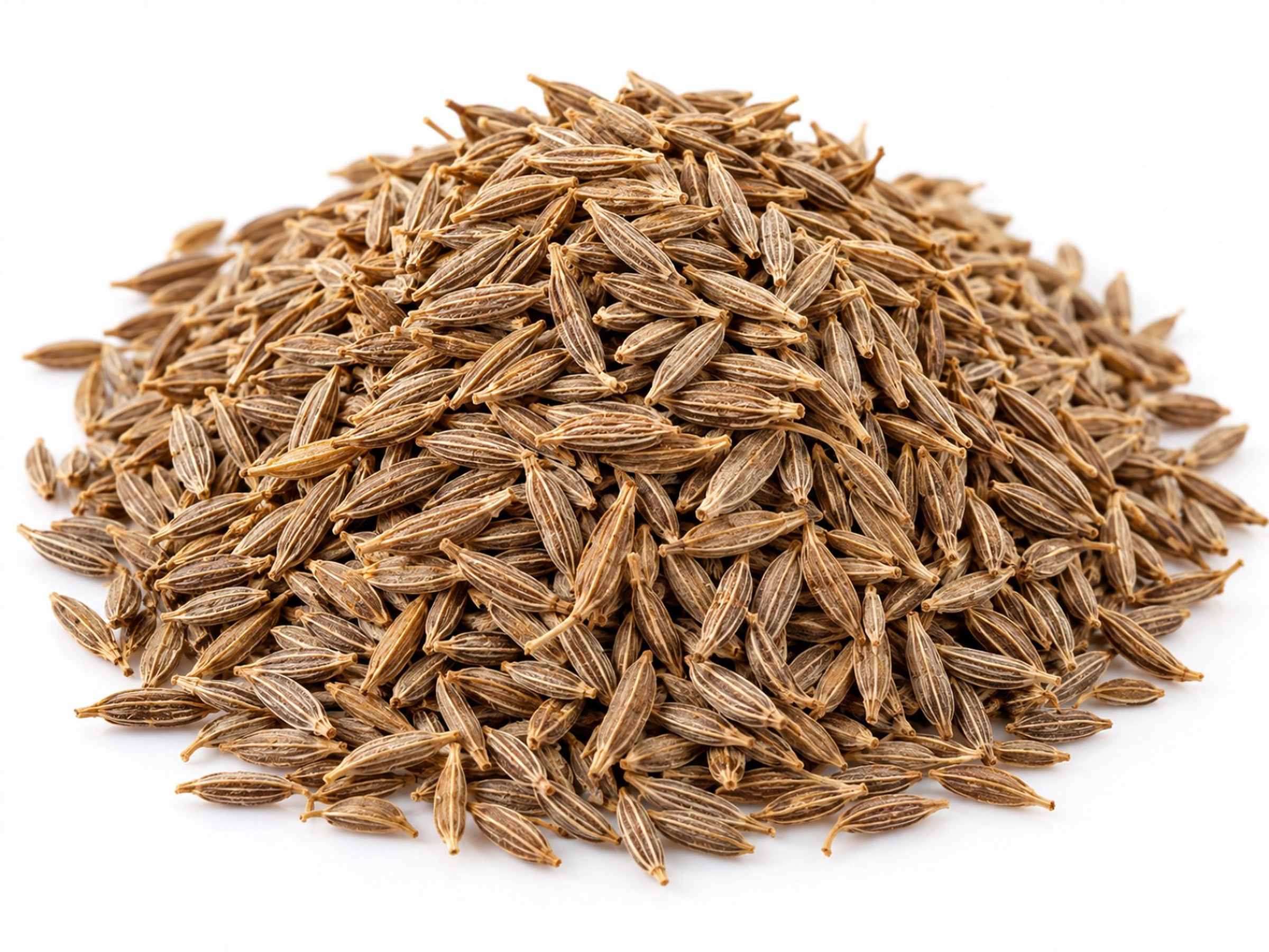 Cumin seeds — Indian origin, Gujarat and Rajasthan